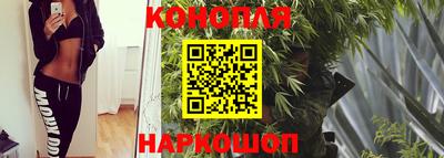 гидра Жуковский