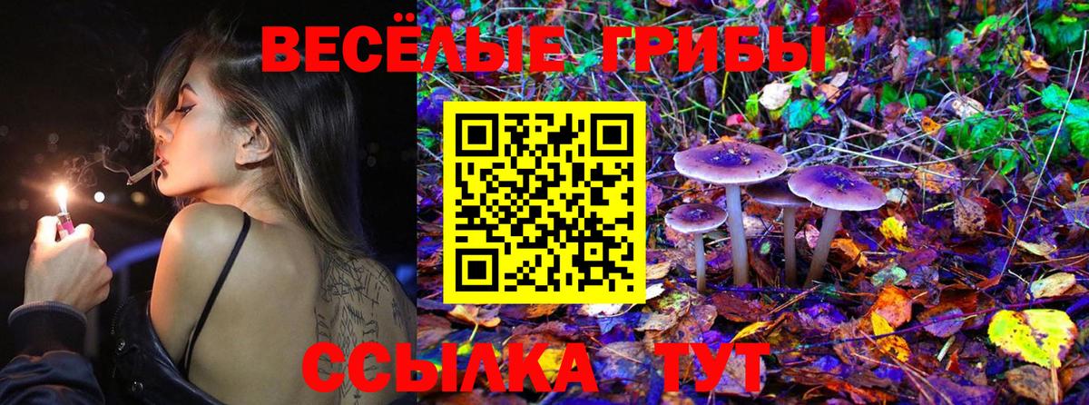 Галлюциногенные грибы мухоморы Муравленко