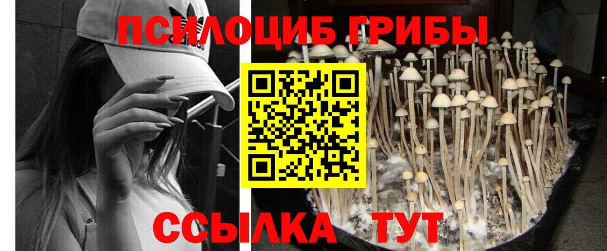 Муравленко  купить наркоту  Вход с VPN  Галлюциногенные грибы ЛСД  Псилоцибиновые грибы Psilocybe 